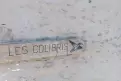 pancarte les colibris
