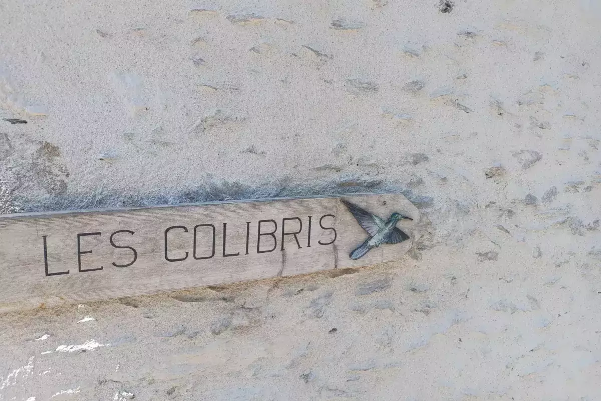 les colibris
