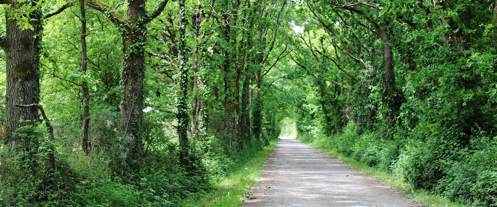 Natur'enTerrehappy l'entrée