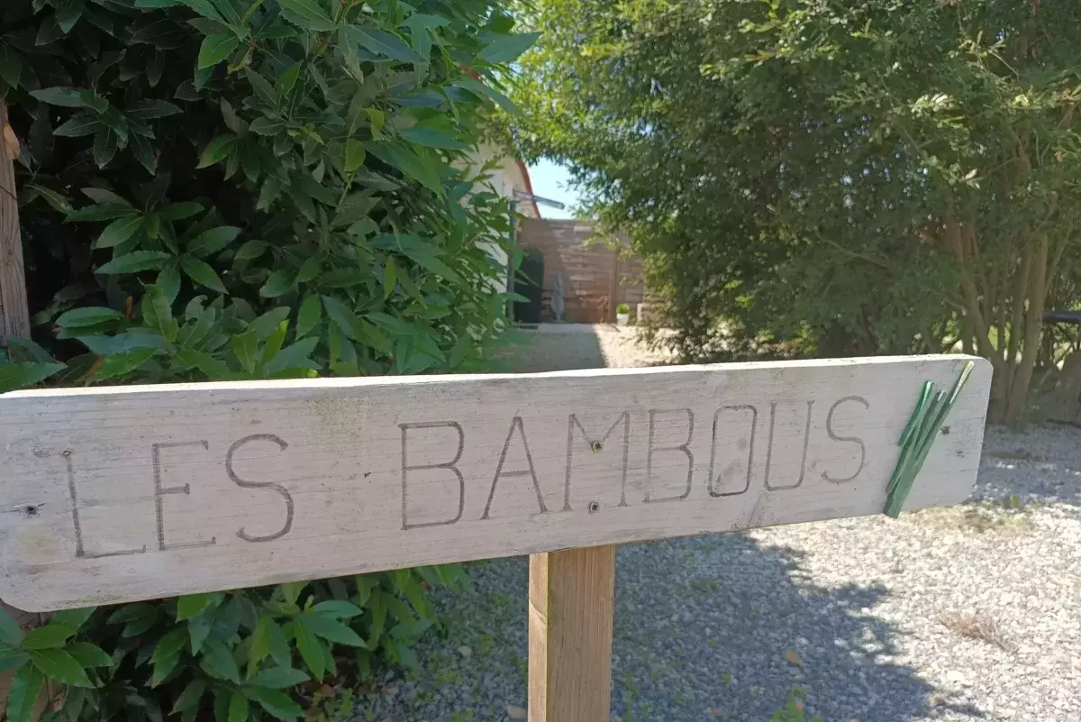 les bambous